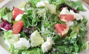 2種のグレープフルーツとストラッキーノチーズのサラダ